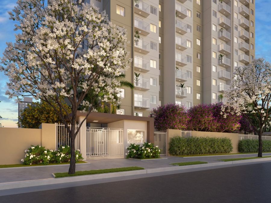 Apartamento - Venda - Vila Constana - So Paulo - SP